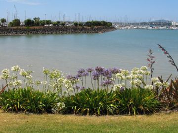 Photo IMG_0206