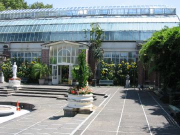 Aukland domain sklenik