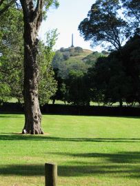 One tree hill
