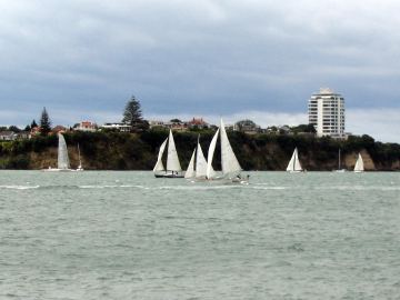 Waitemata harbour regatta