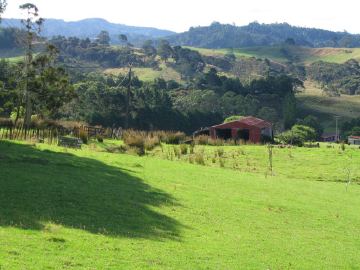 Henderson valley