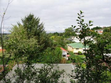 Mt albert suburb