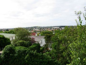 Mt albert suburb