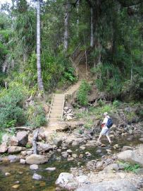 Waiomu schody