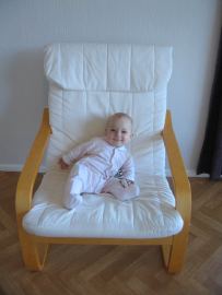 Sarka na kresle