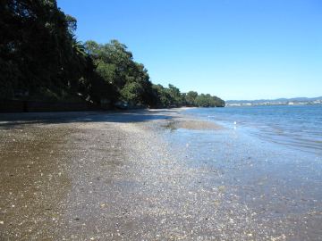 Pt chev 10am