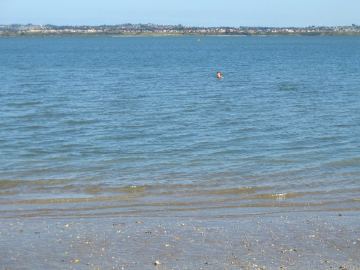 Pt chev 10am