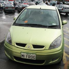 Plate MIFROG