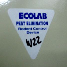 Pest