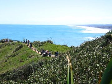Muriwai