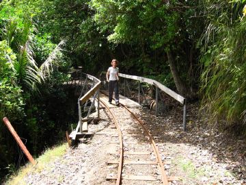 Waitakere jitka most
