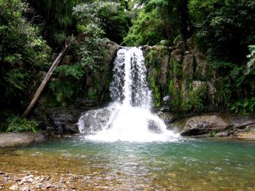 Waiau falls