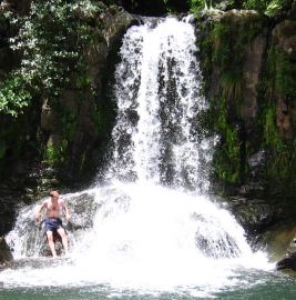 Waiau falls