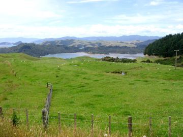 Coromandel