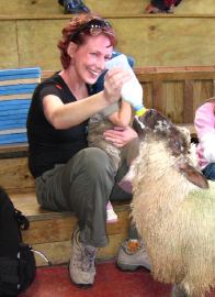 Sheepworld