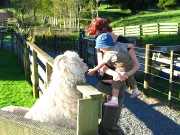 Sheepworld