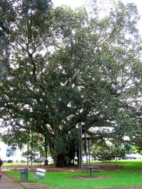 Photo IMG_3438