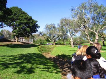 Photo IMG_3490