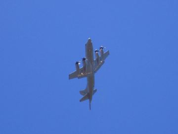 Whenuapai