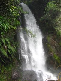 Te wairoa falls