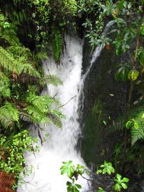 Te wairoa falls