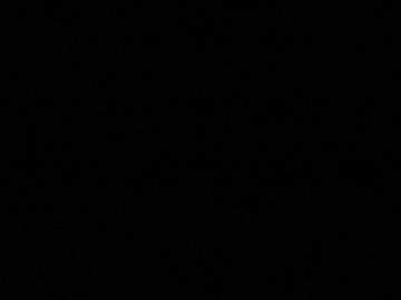 Glowworms