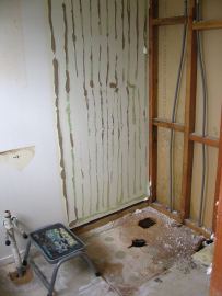 Ex shower