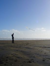 Piha Draci Tai Chi