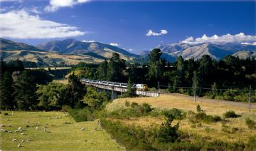 S Tranz Scenic