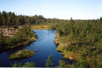 Photo 2-10